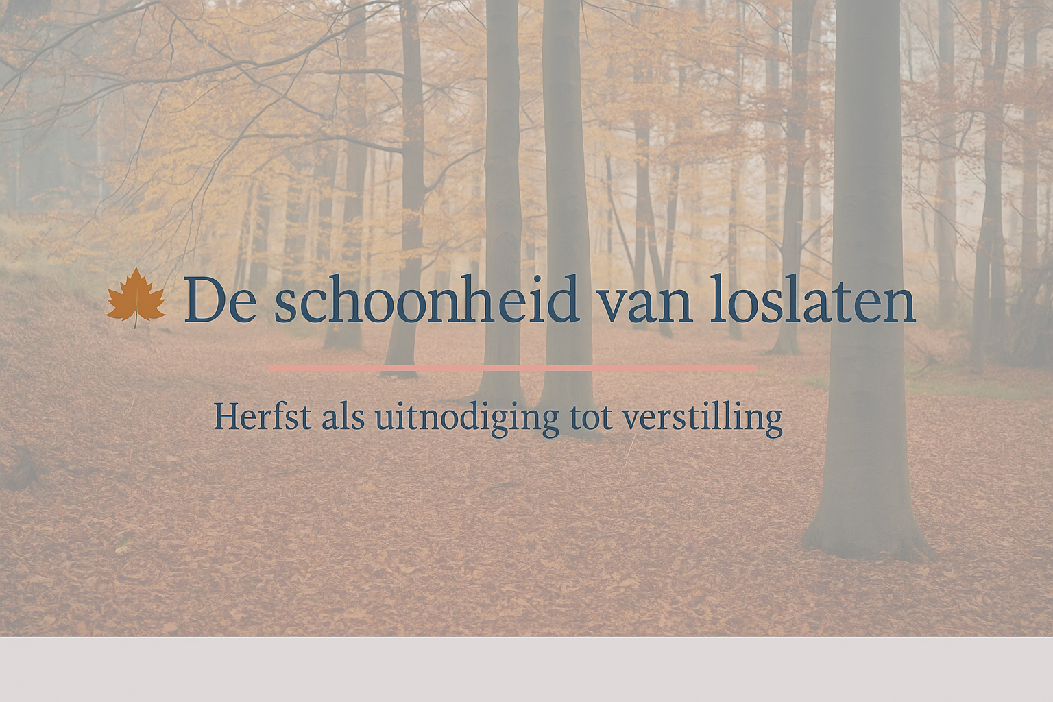 De schoonheid van loslaten 🍂